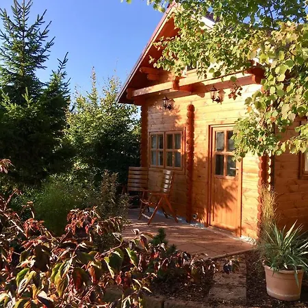 Kleine Pfalz 度假居 Ranschbach