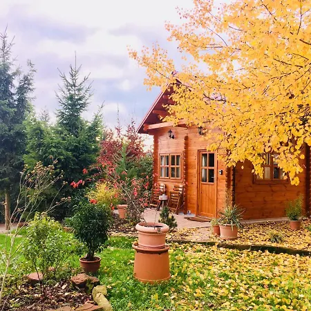 Kleine Pfalz 度假居 *