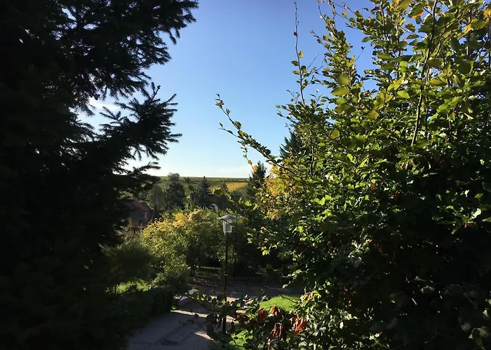 Kleine Pfalz Дом отдыха