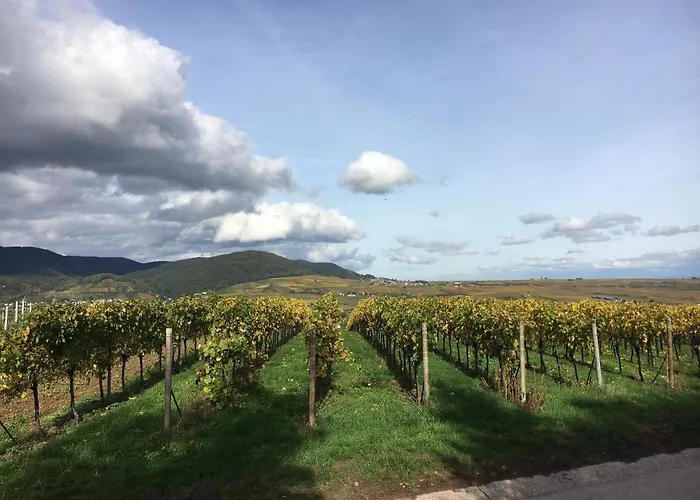 Kleine Pfalz Дом отдыха *